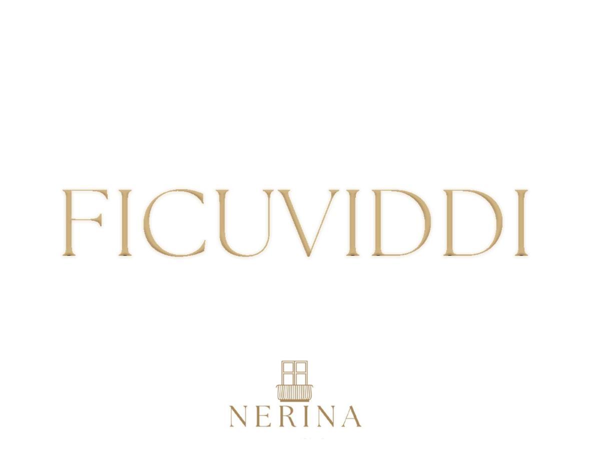Affittacamere Nerina